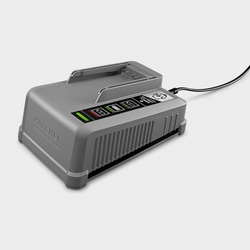 Быстрозарядное устройство Battery Power+ 36 В