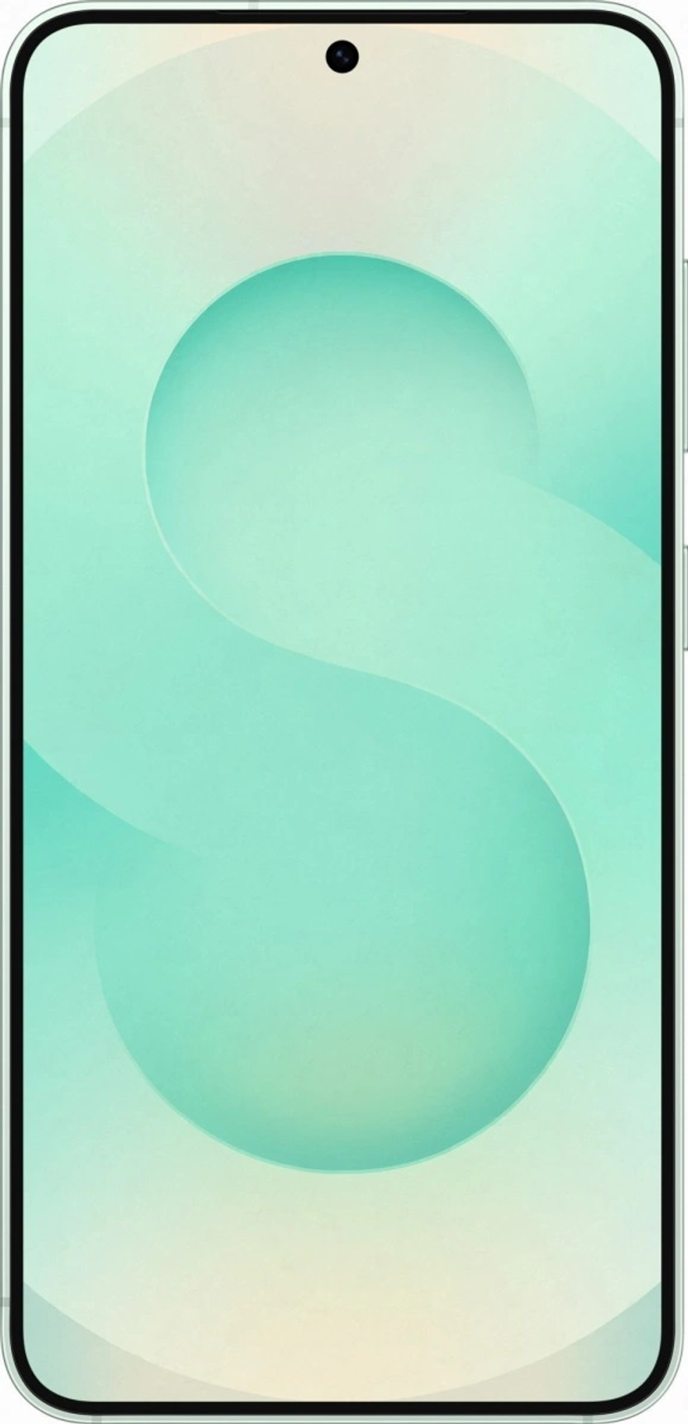 Смартфон Samsung Galaxy S25 5G 12/512Gb, Mint (SM-S9310)