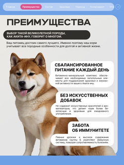 Корм сухой для взрослых собак породы Акита-ину, премиум полнорационный комплекс, с говядиной, 2,5 кг, QUATTRO