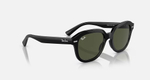RAY-BAN ERIK RB4398 901/31