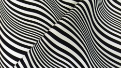 Микровелюр Xpoint 0072.01 Зебра