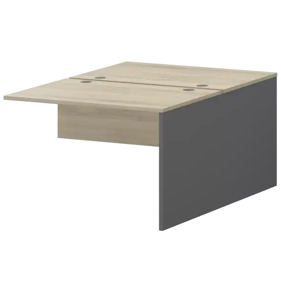 Модуль двойной Тип1 СМСН25-2.10.73  1000x1496x750 Смарт