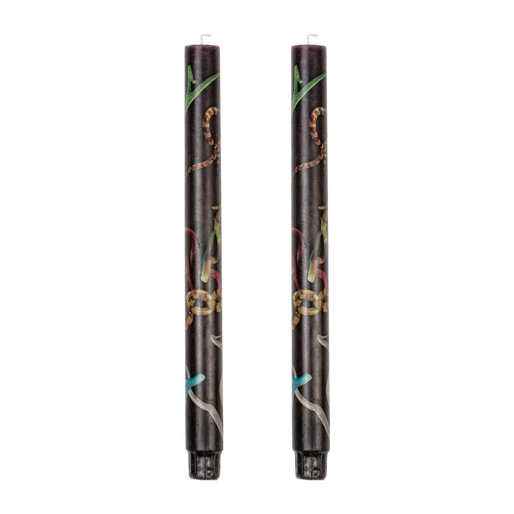 Свеча Stern Snakes Black set of 2 14087S