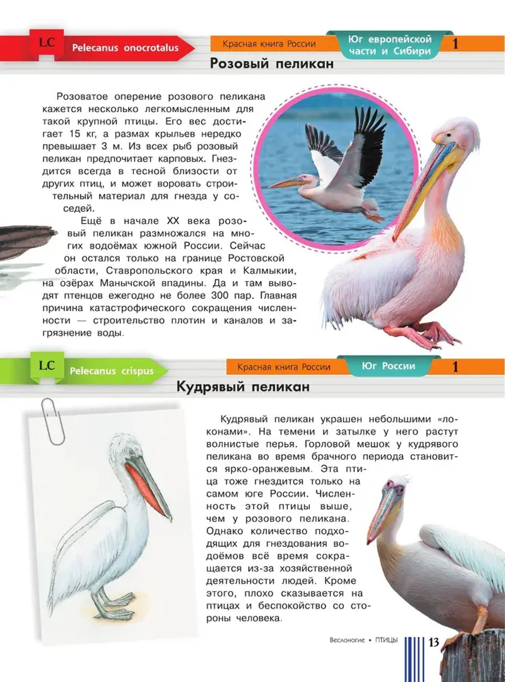 Красная книга России