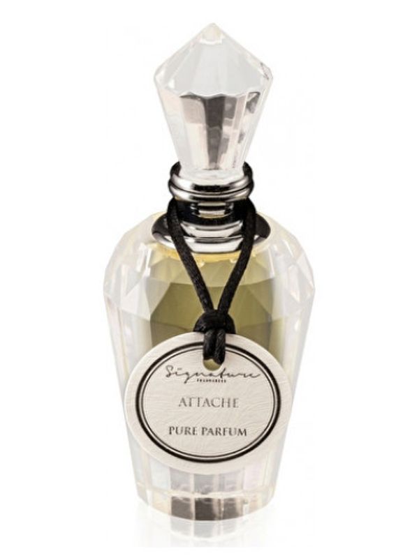 Signature Fragrances Attache