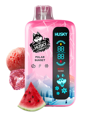 HUSKY AIR MAX PRO 20000