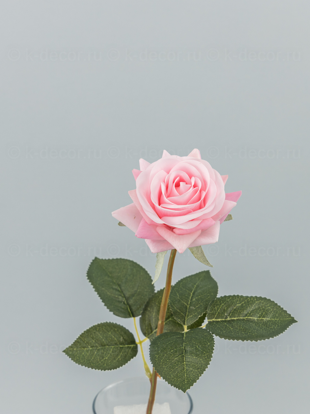 Роза Фелиция силикон