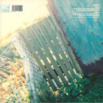 Placebo / Placebo (LP)