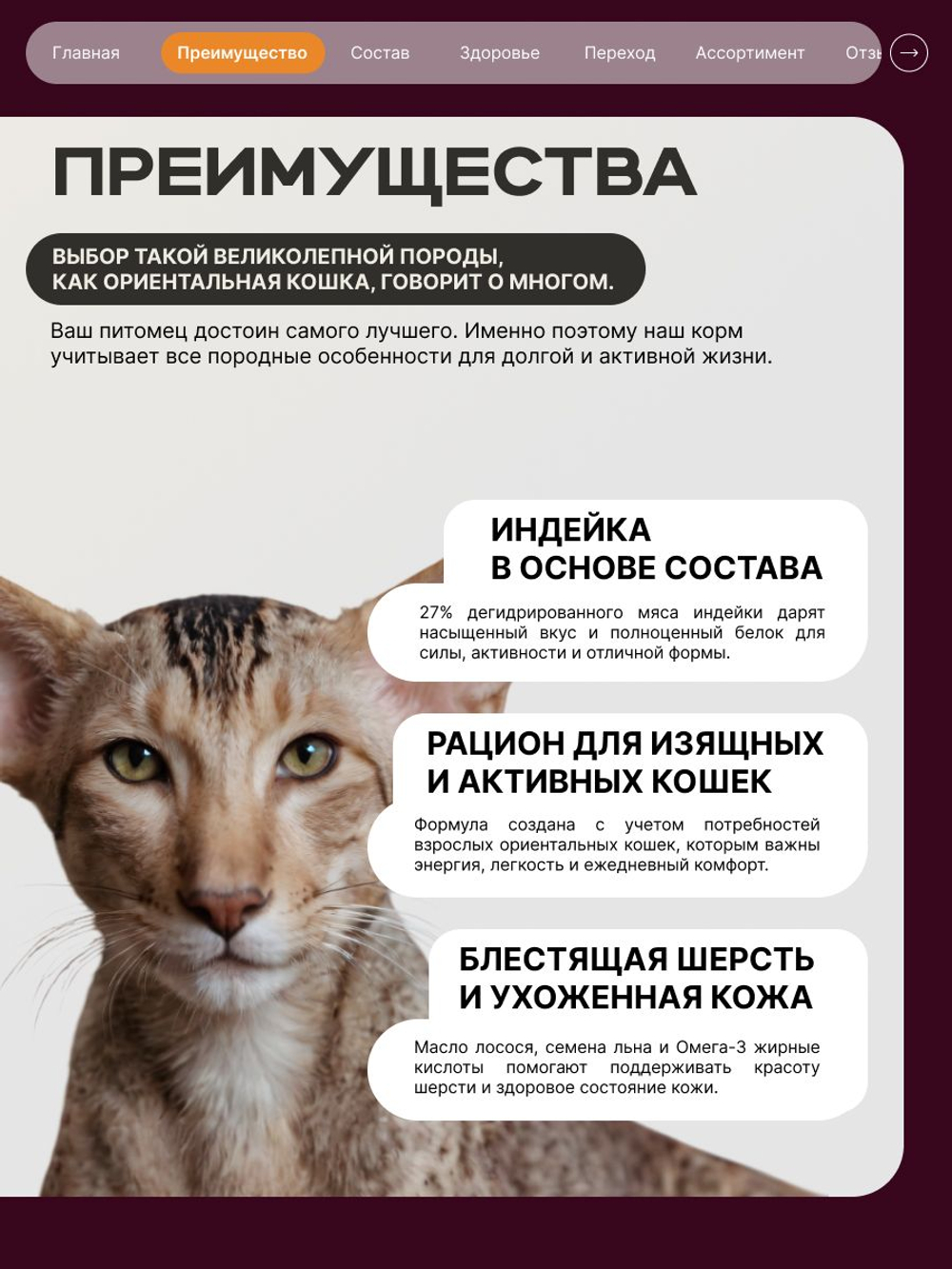 Корм сухой для кошек породы Ориентальная кошка, с индейкой, 2 кг, QUATTRO