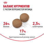 Royal Canin Maxi Adult Корм сухой для взрослых собак крупных размеров от 5 лет до 8 лет 15 кг