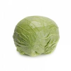 ЗАРИССИМА F1 семена капусты белокочанной (Rijk Zwaan | Alexagro)