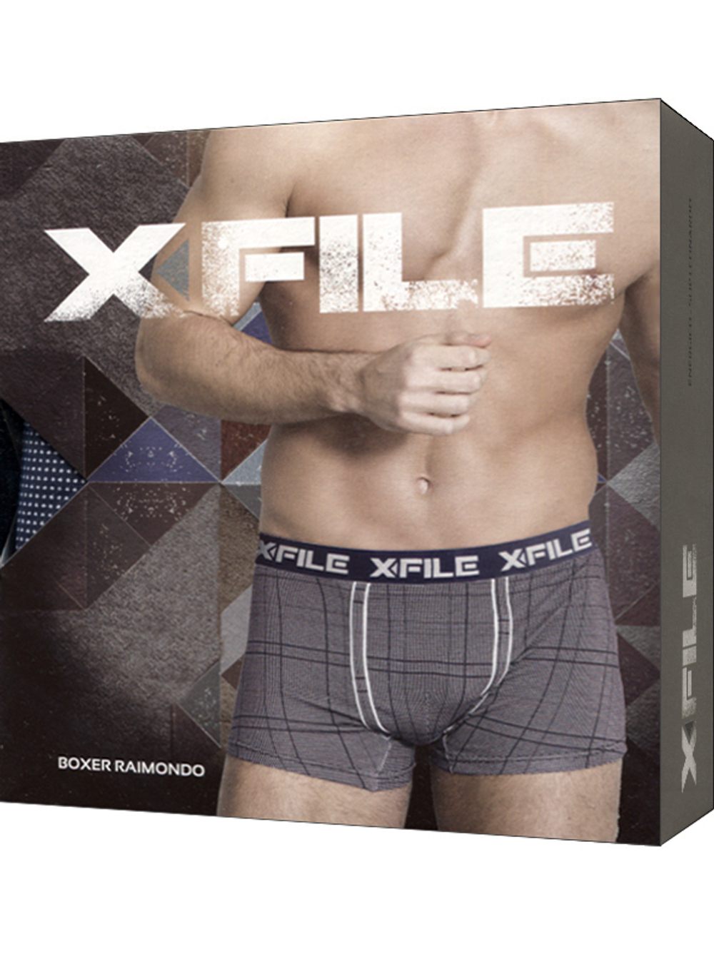 X FILE RAIMONDO BOXER