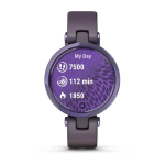 Часы Garmin Lily безель цвета полночная орхидея, корпус темная орхидея и силиконовый ремешок, 010-02384-12