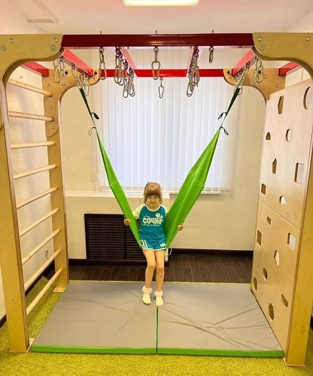 Сенсорная интеграция