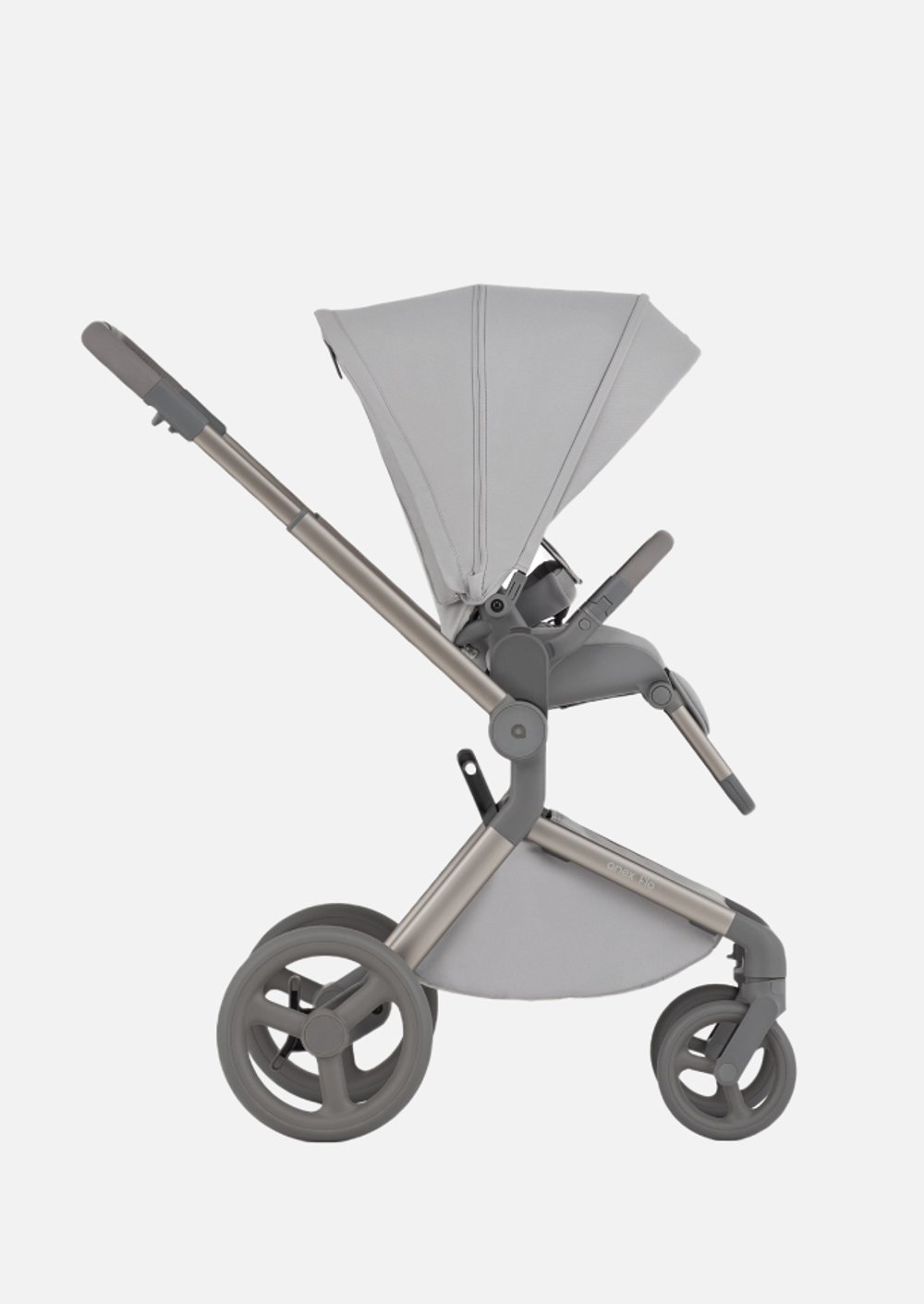 Anex Детская коляска Flo 2 в 1 Frossy