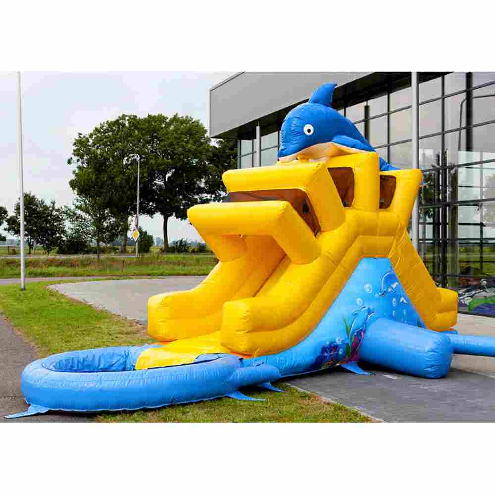 Надувная прямая водная горка с бассейном  «История дельфинчика» 5*2,5*3,5 м