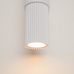 Настенный светильник (бра) Maytoni MOD326WL-02W