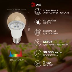 Фитолампа для растений светодиодная ЭРА FITO-11W-Ra90-E 27 полного спектра new 11 Вт Е27 | Фитолампы Е27