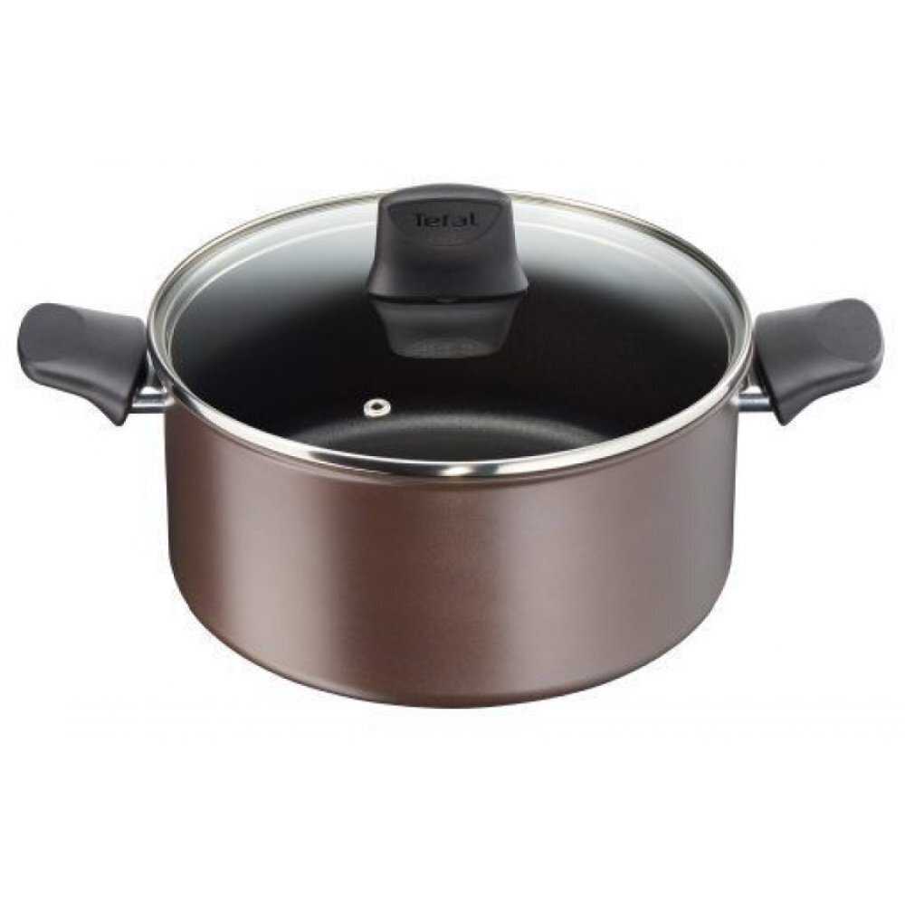 Кастрюля Tefal Chef's Delight 20 см C6944402