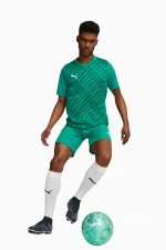 Футболка Puma teamULTIMATE