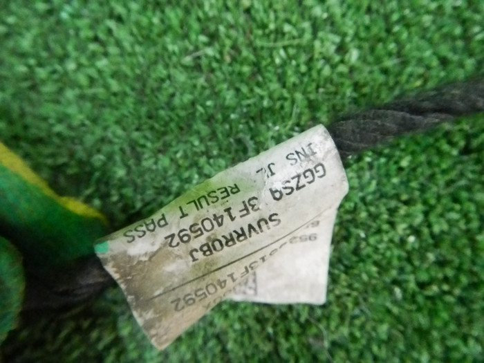 DSCN8619.JPG