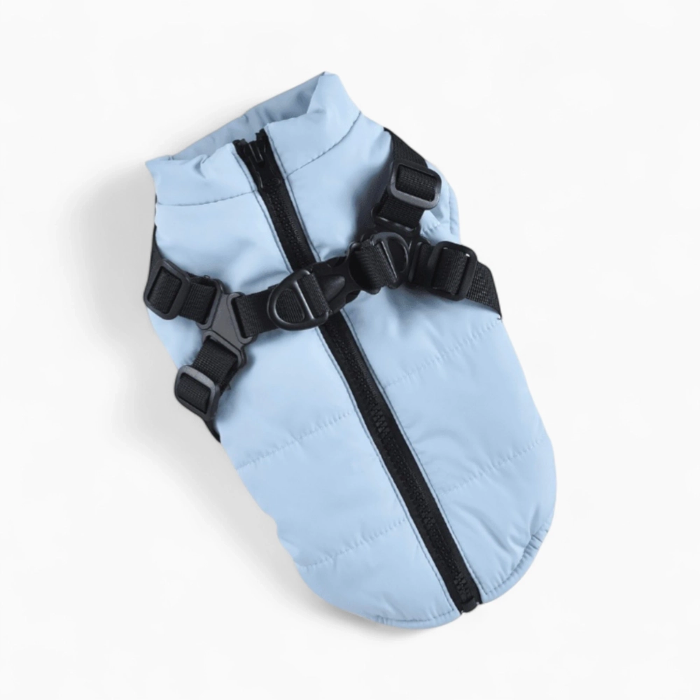 Жилетка «Elfidog»