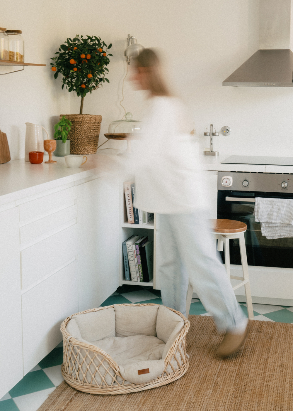 Лежанка из лозы "Пони-Набалкони"