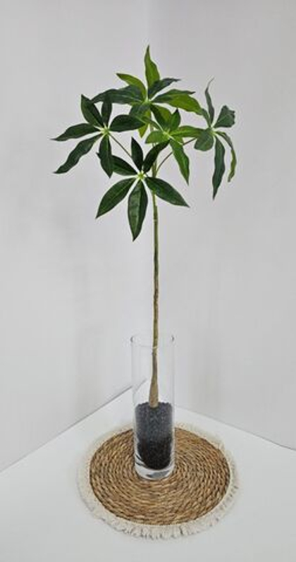 Пахира / Арт 3075