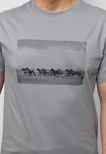 Футболка ARGYMAQTAR LIGHT GREY