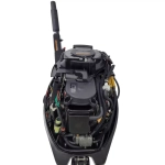 Лодочный мотор Parsun F9.9 (20) ABMS-EFI PRO