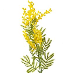 GAEM Цветок искусственный "Мимоза", L10 W10 H75 см