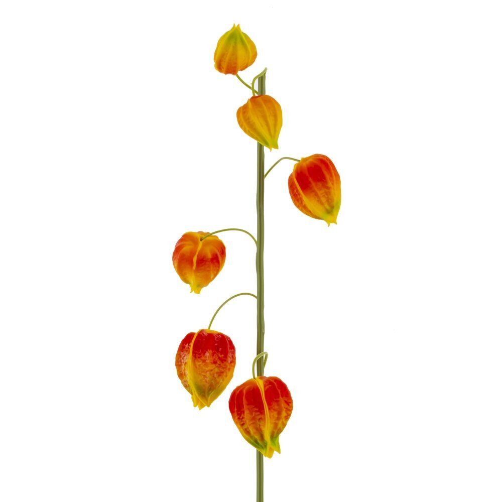 GAEM Цветок искусственный "Физалис" (Real Touch), L15 W12 H69 см