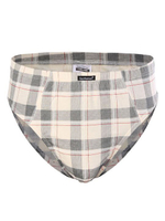 Набор из двух клетчатых хлопковых трусов-слипов (Размер: XXXL) (Цвет: бежевый)