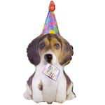 Шар Фольгированный Собака щенок в колпаке (Серый)