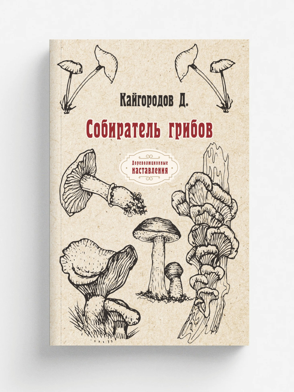 Собиратель грибов | Д. Кайгородов