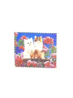 Футляр для очков/чехол для очков/очечник