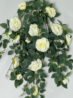 Роза ампельная белая