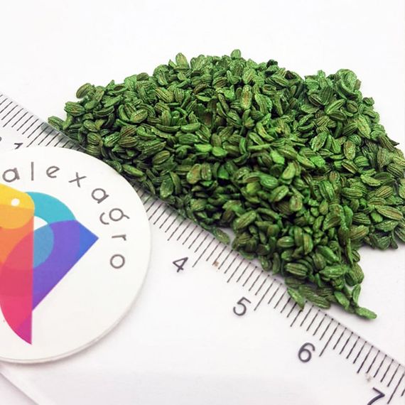 КАНАДА F1 семена моркови Bejo купить