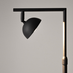 Торшер светодиодный Maytoni Pikant MOD372FL-L10B3K