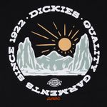  Футболка мужская Dickies Outdoor артикул:DK0A4Z8PBLK1 - купить в магазине Дайс