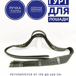Гурт