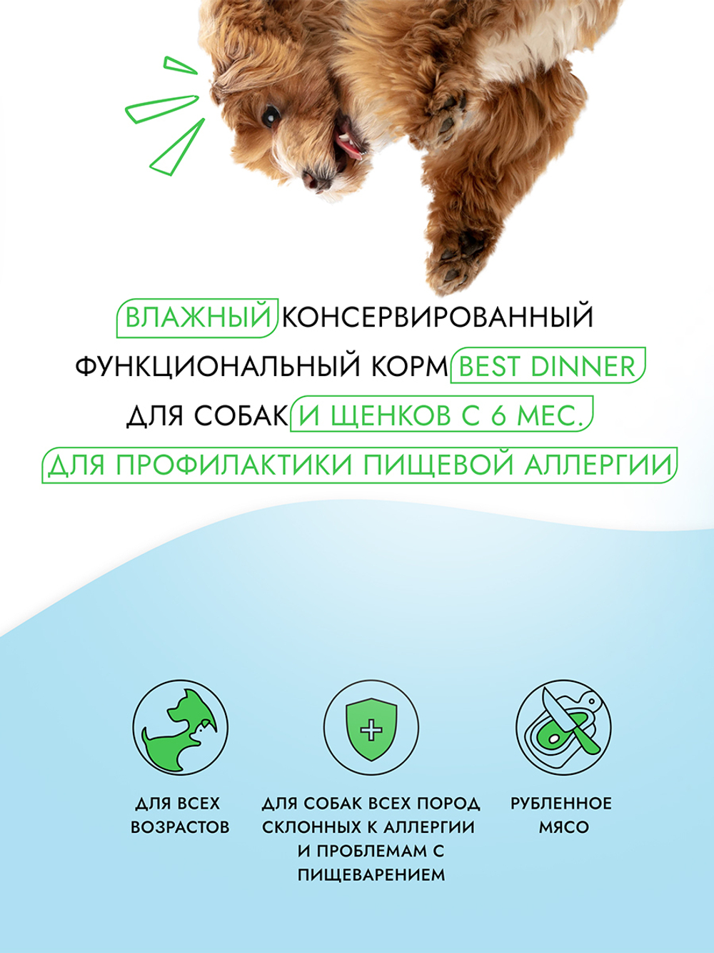 Best Dinner Эксклюзив Vet Profi для собак - Консервы  Exclusive Hypoallergenic С индейкой и кроликом 340 г