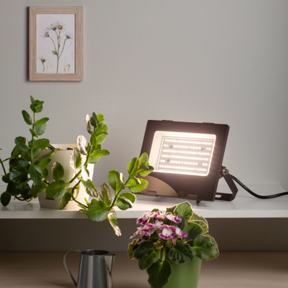 Фитопрожектор для растений светодиодный ЭРА FITO-50W-Ra90-LED для цветения и плодоношения полного спектра 50 Вт