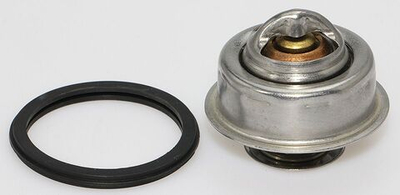 Ремкомплект термостата № 18-3664 (оригинальный номер 875795) (10259328)