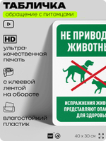 Табличка "Не приводить животных", для двора, дома, подъезда, 40х30 см, Silver Plane x Айдентика Технолоджи