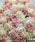 51 французская роза  pinky fog