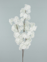 Сакура Пышная белая