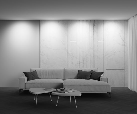 Встраиваемый светильник Technical DL100-12W2.7-3-4K-W