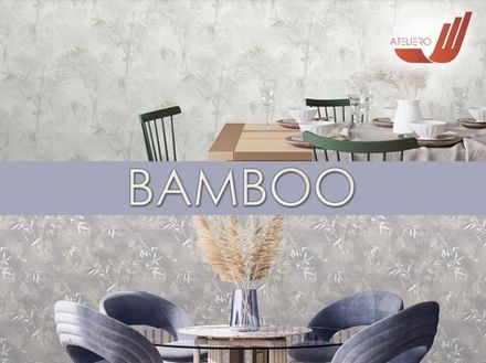 Bamboo