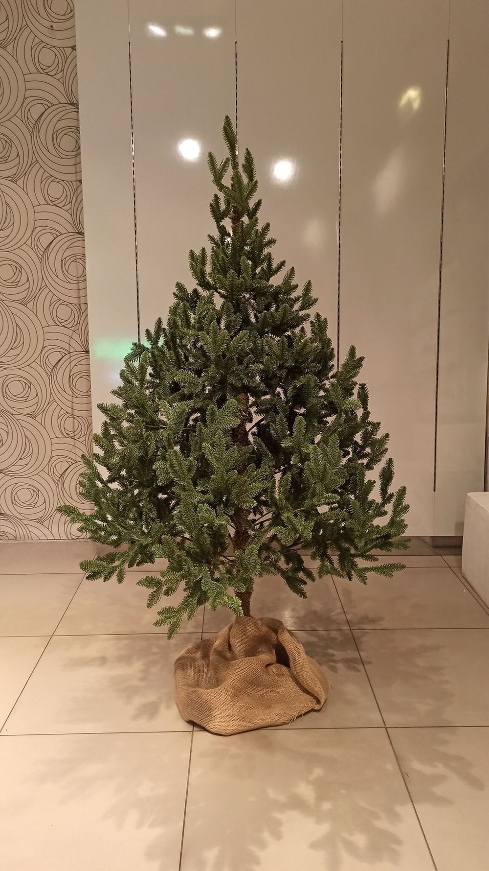 Искусственная ель на ножке «Датская» (хвоя Литая) 210 см / 2.1 м